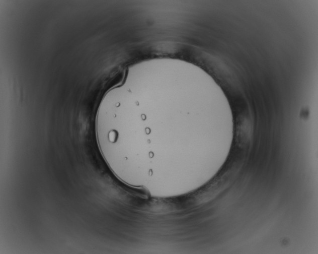 X0000101110608200807171938
