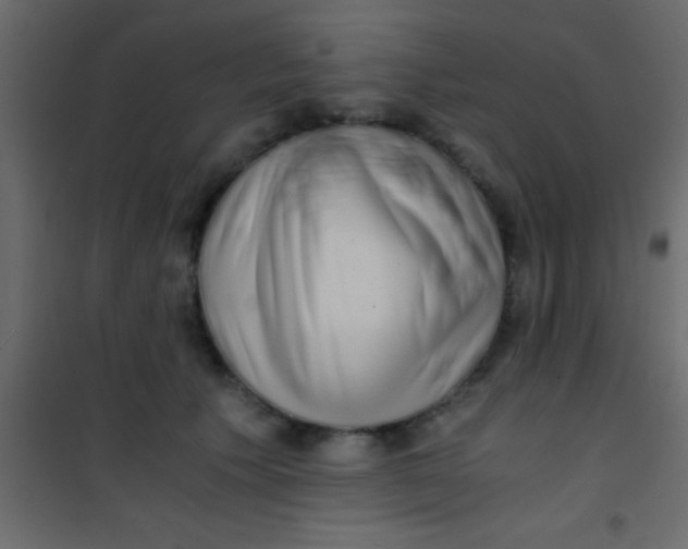 X0000101110609200807171938