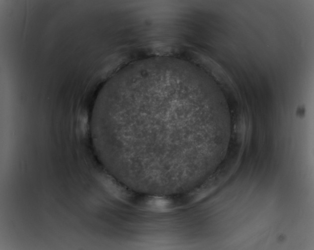 X0000101110610200807171938