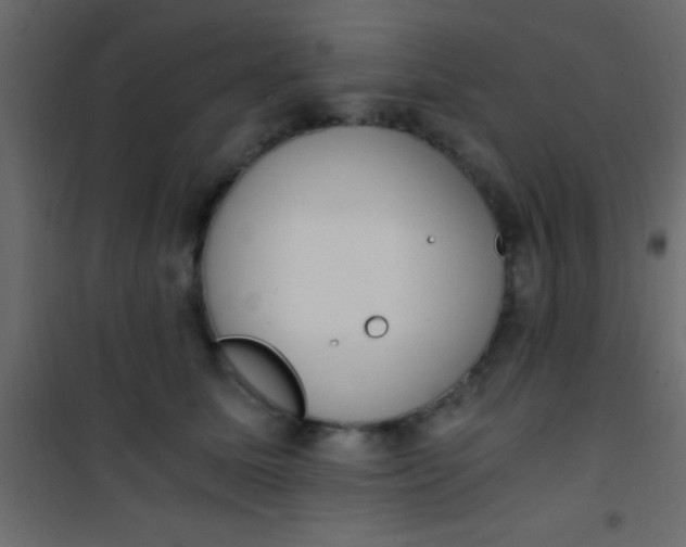 X0000101110611200807171938