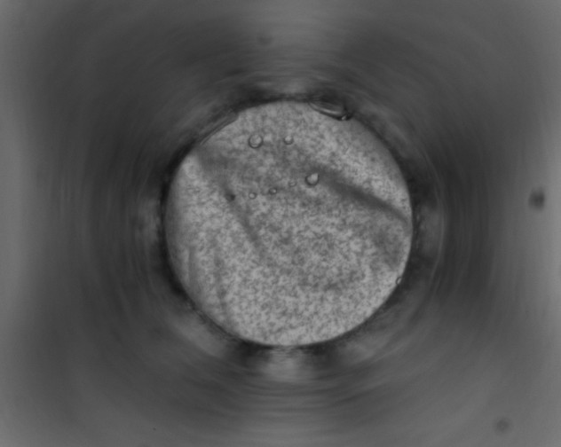 X0000101110612200807171938