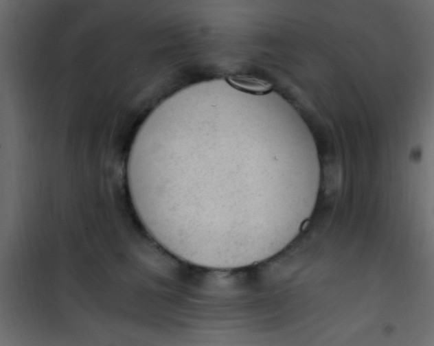 X0000101110613200807171938