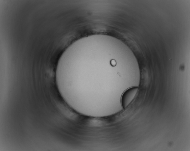 X0000101110614200807171938