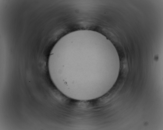 X0000101110615200807171938