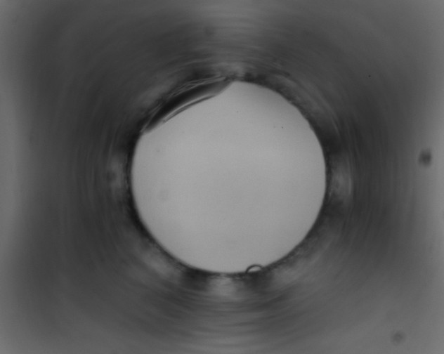 X0000101110616200807171938
