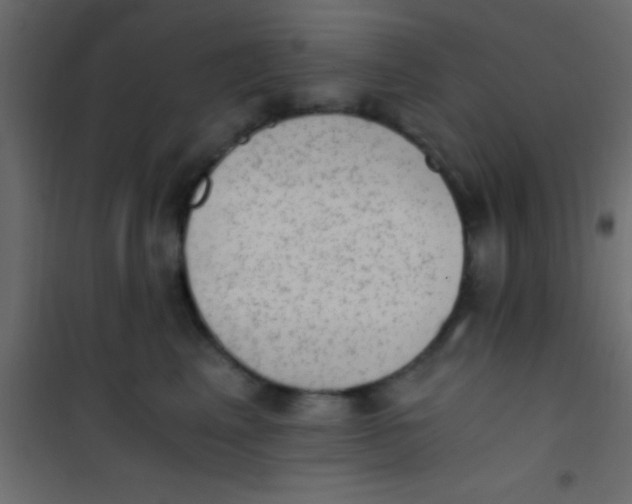 X0000101110617200807171938