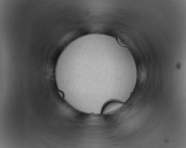 X0000101110619200807171938