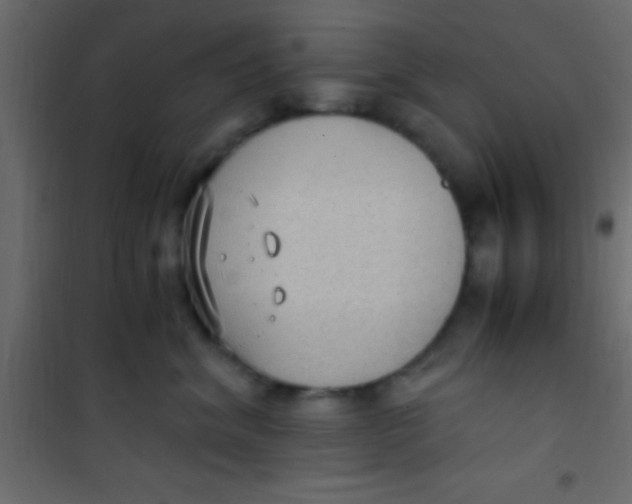 X0000101110620200807171938