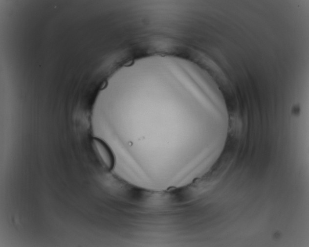 X0000101110621200807171938