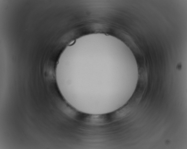 X0000101110622200807171938