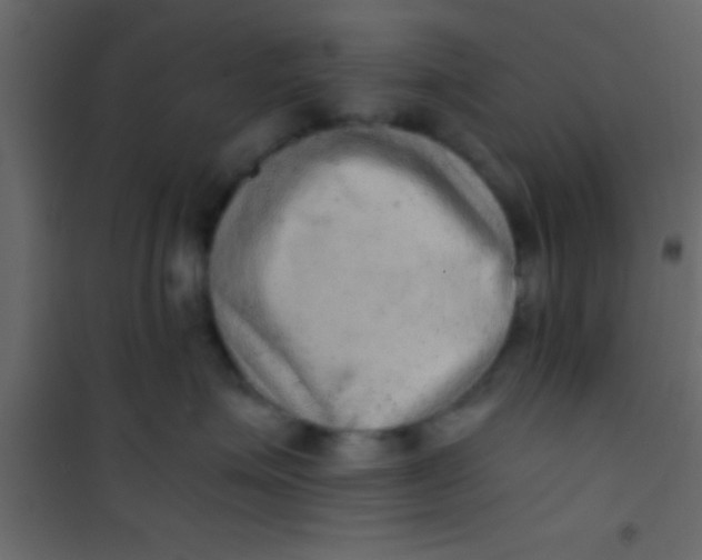 X0000101110623200807171938