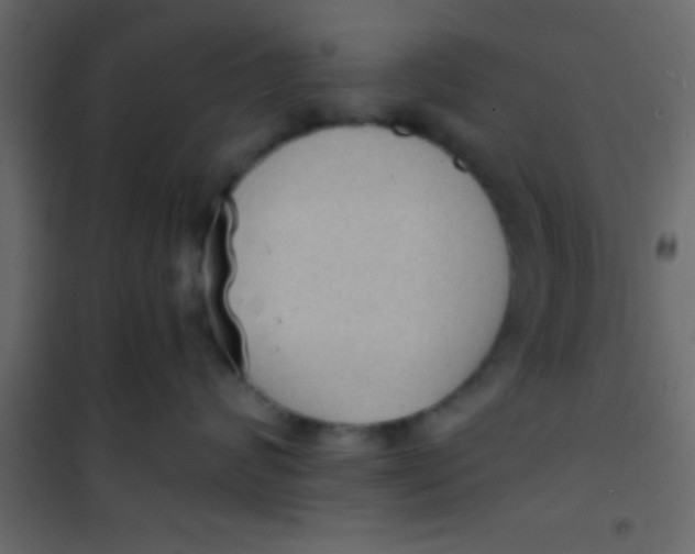X0000101110624200807171938