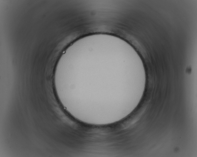 X0000101110625200807171937