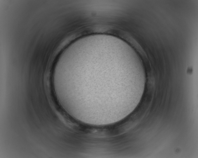 X0000101110626200807171937