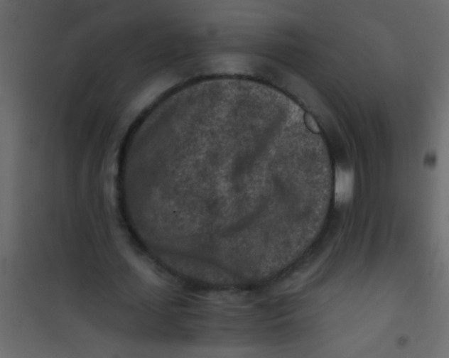 X0000101110627200807171937