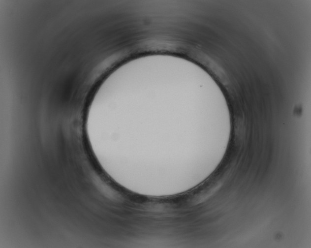 X0000101110629200807171937