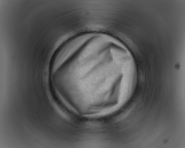 X0000101110630200807171937
