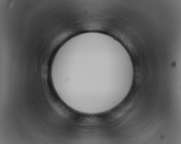 X0000101110631200807171937