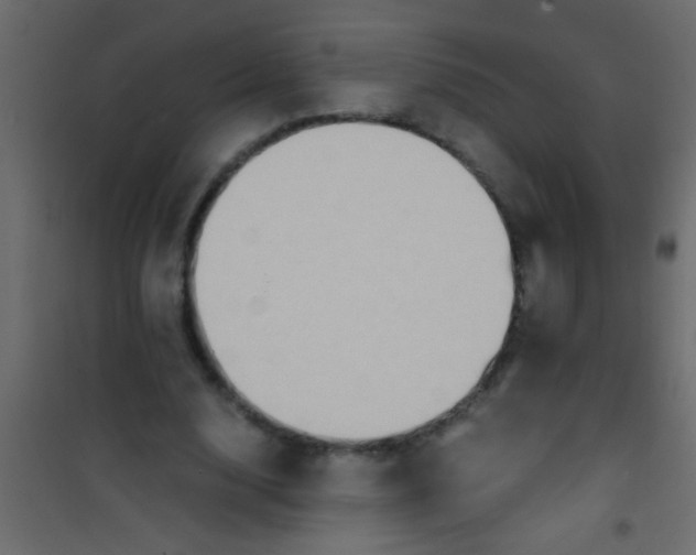 X0000101110632200807171937