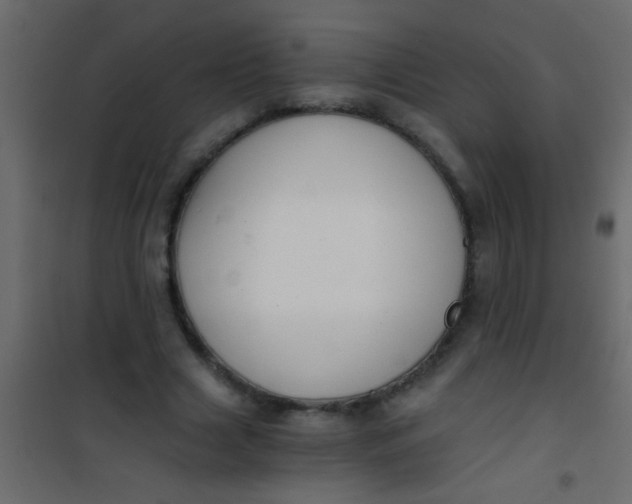 X0000101110633200807171937