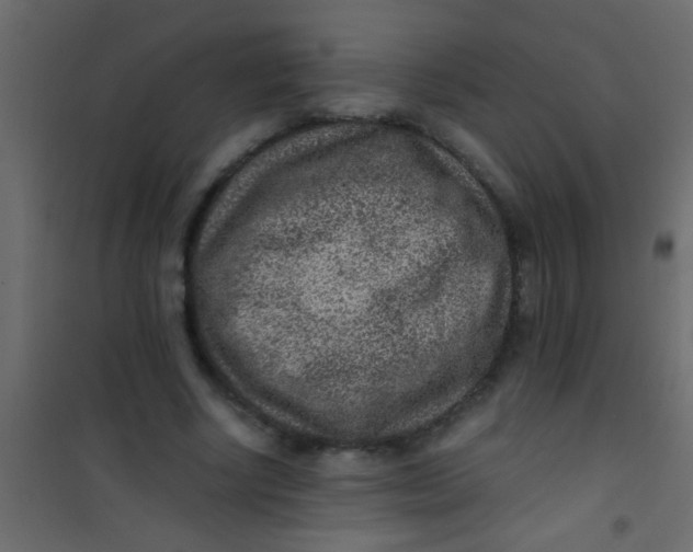X0000101110634200807171937