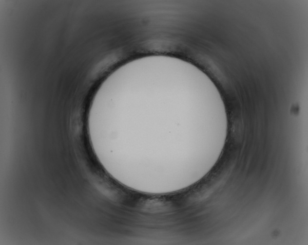 X0000101110635200807171937