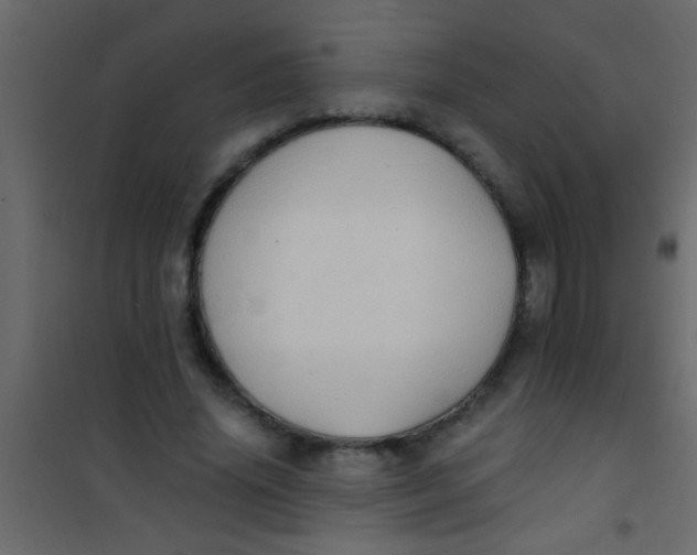 X0000101110636200807171937