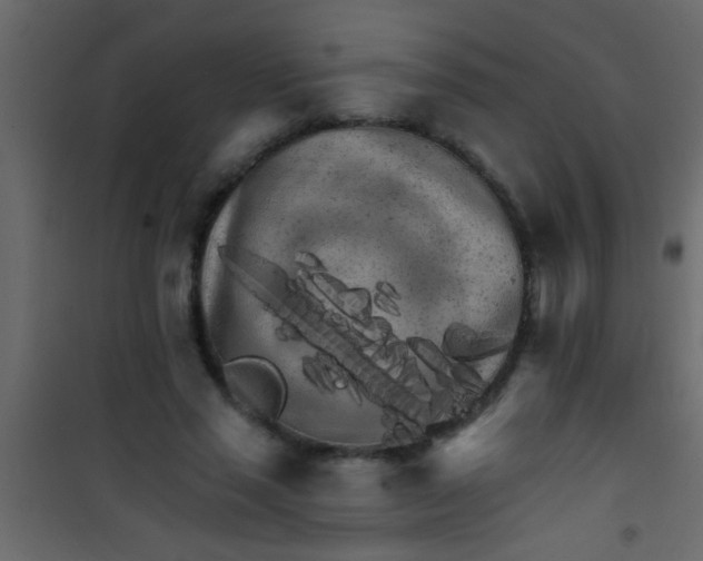 X0000101110637200807171937