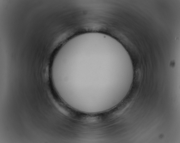 X0000101110638200807171937