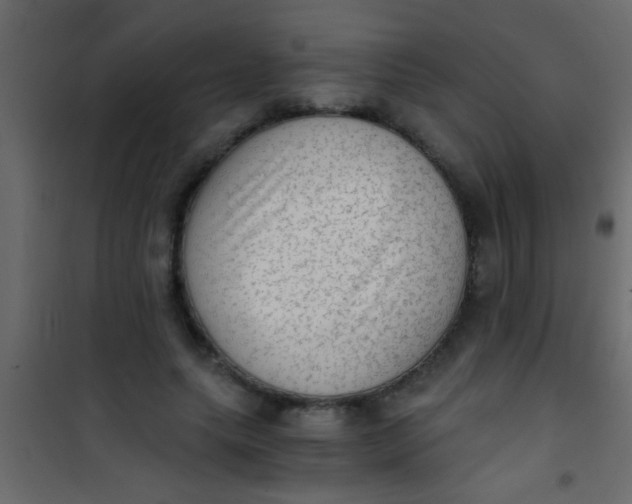 X0000101110639200807171937