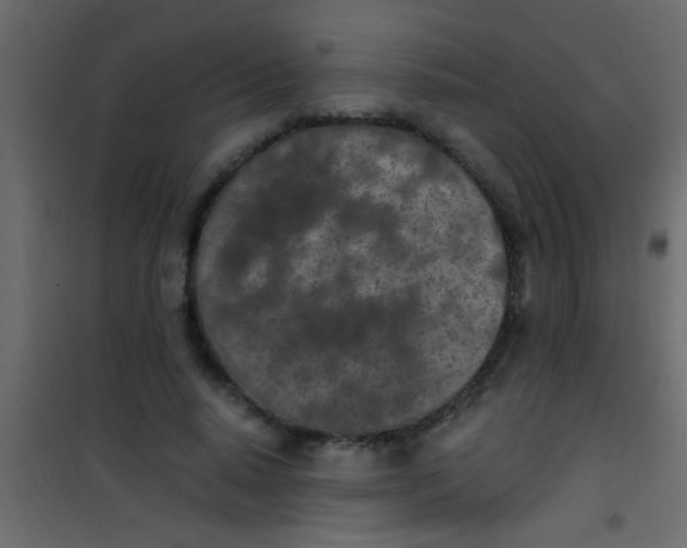 X0000101110640200807171937