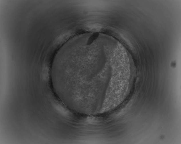 X0000101110641200807171937