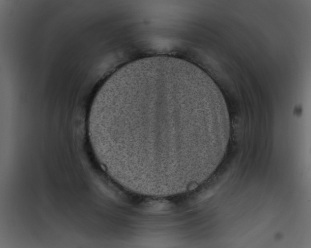 X0000101110642200807171937