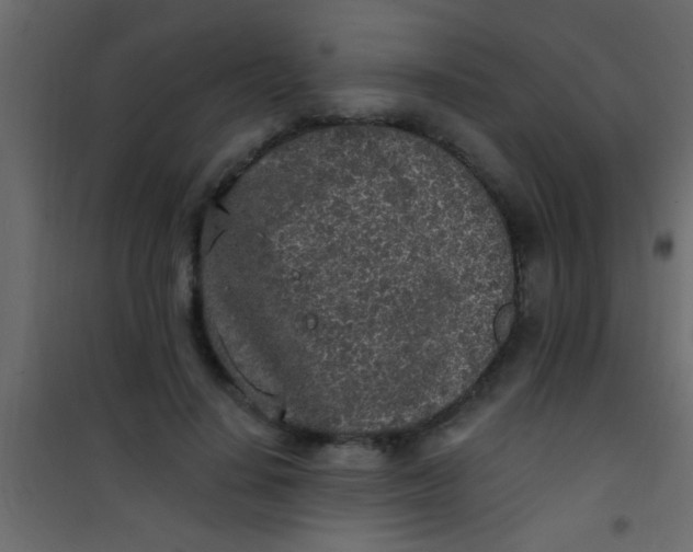 X0000101110644200807171937