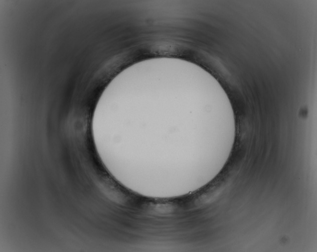 X0000101110645200807171937