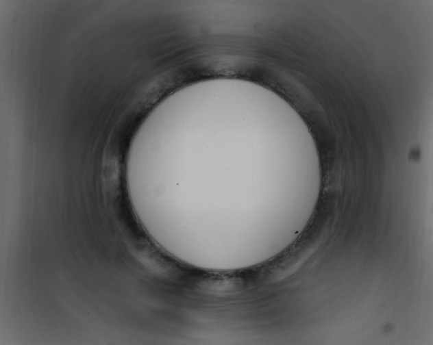 X0000101110646200807171937