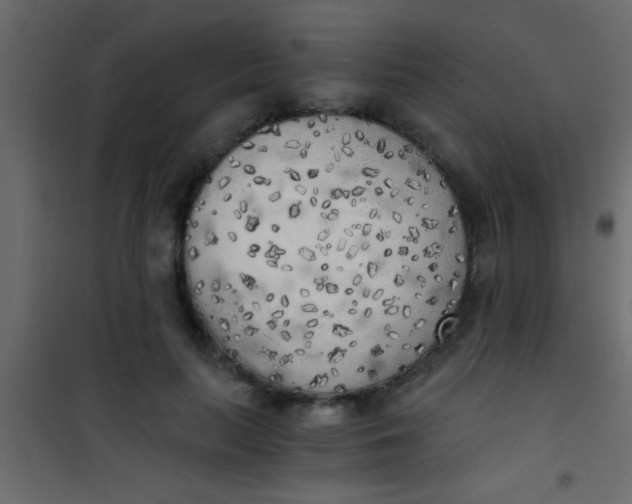 X0000101110647200807171937