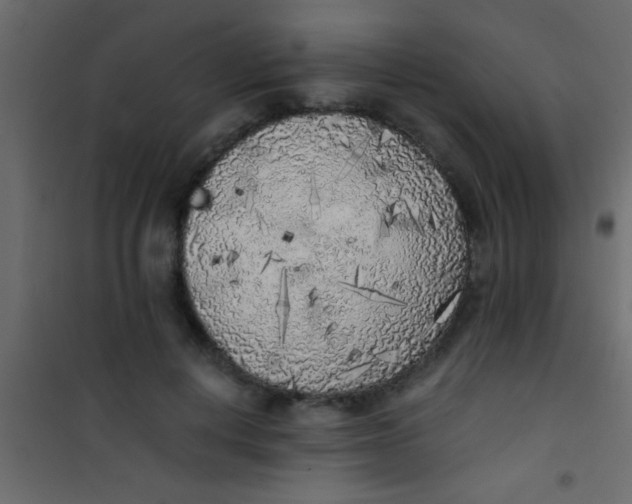 X0000101110648200807171937