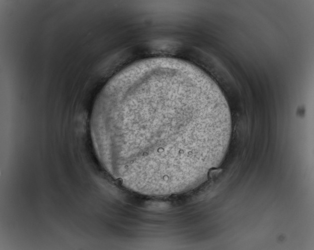 X0000101110649200807171937