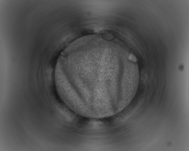 X0000101110650200807171937