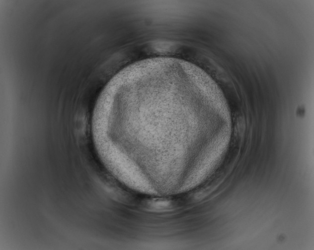 X0000101110651200807171937