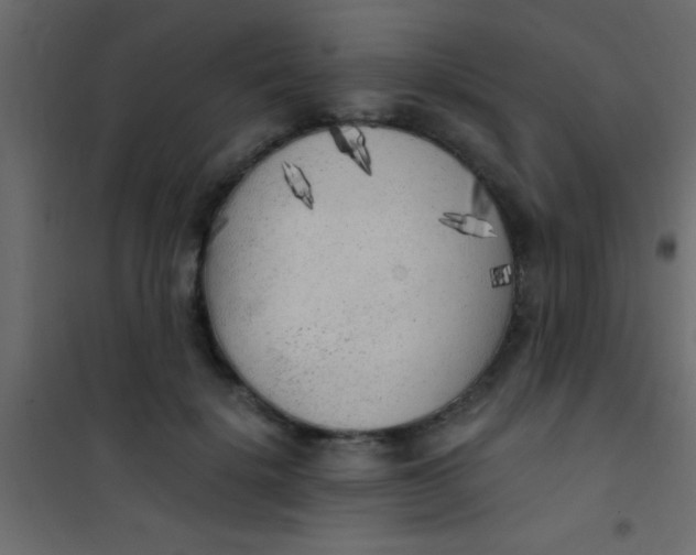 X0000101110652200807171937