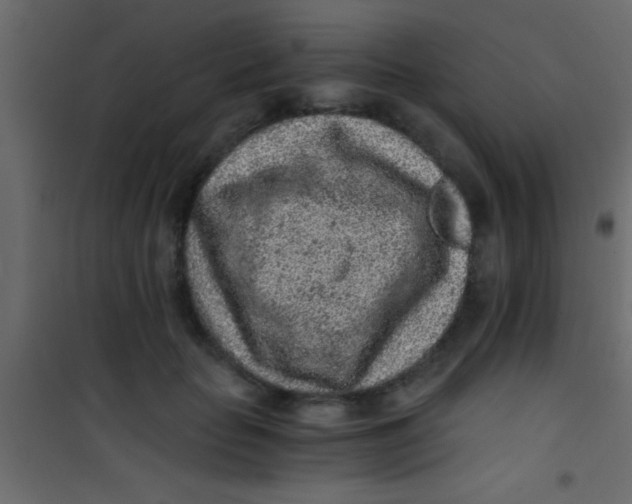 X0000101110653200807171937