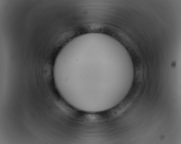X0000101110654200807171937