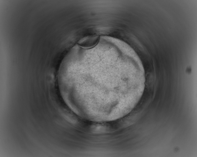 X0000101110655200807171937