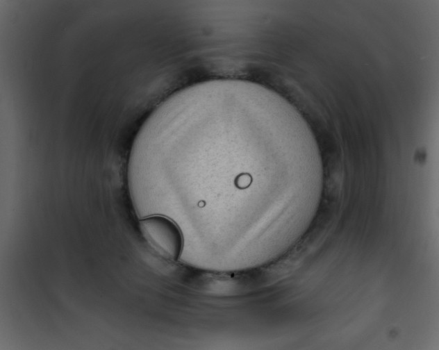 X0000101110658200807171937