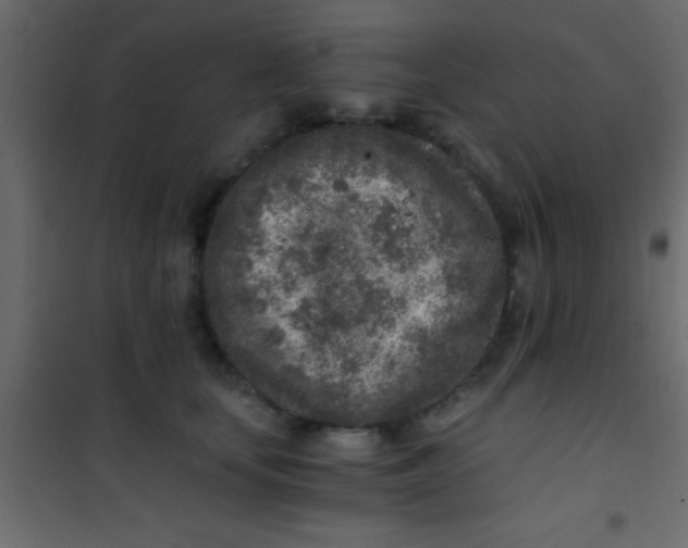 X0000101110659200807171937