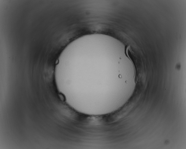 X0000101110660200807171937