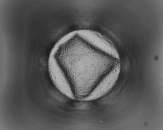 X0000101110661200807171937
