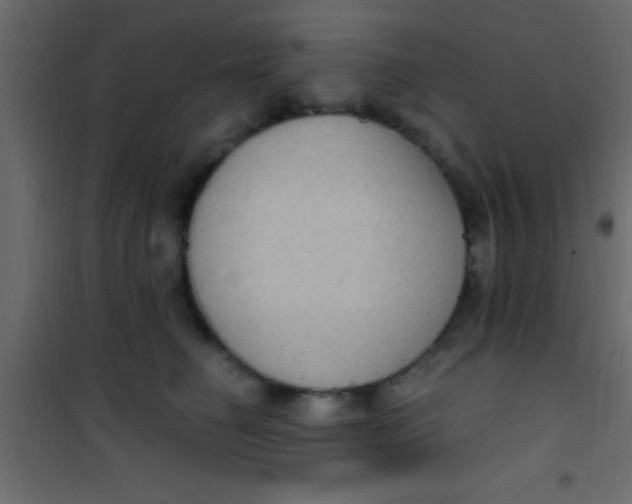 X0000101110662200807171937